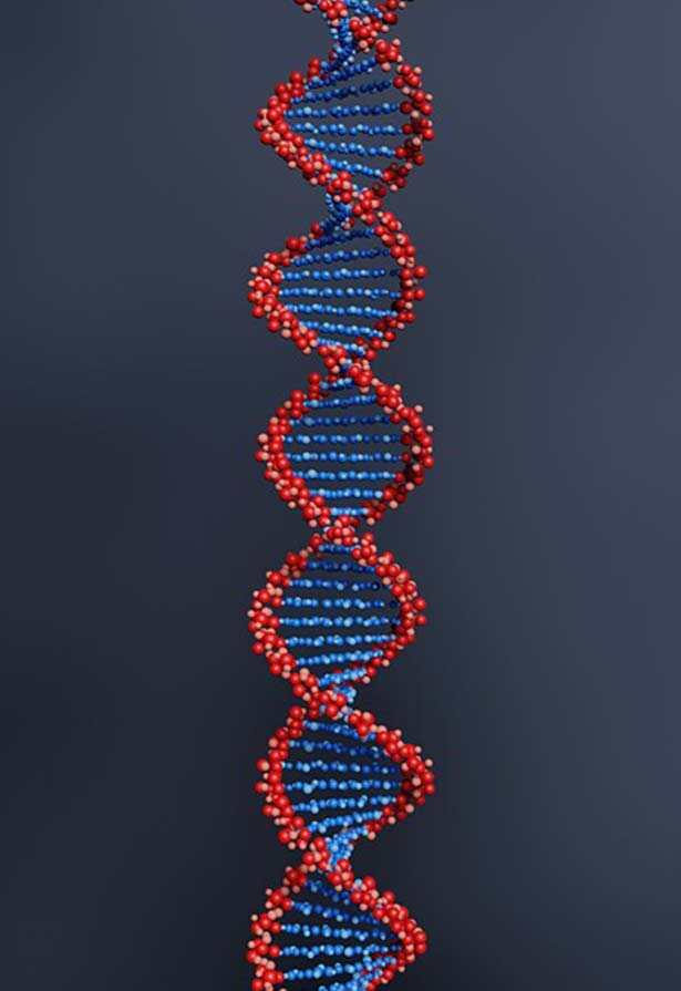 CRISPR and Gene Editing